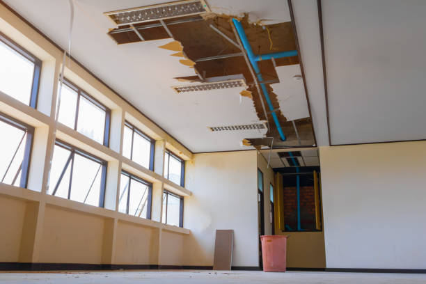 Best Water damage cleanup near me  in Osceola, WI