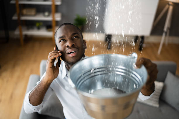 Best Residential water damage restoration  in Osceola, WI