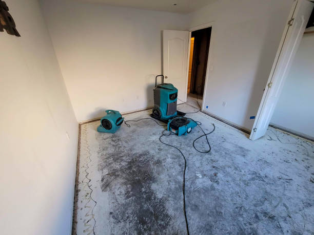 Carpet water damage restoration in WI