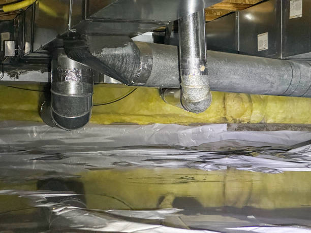 Best Professional water damage repair  in Osceola, WI