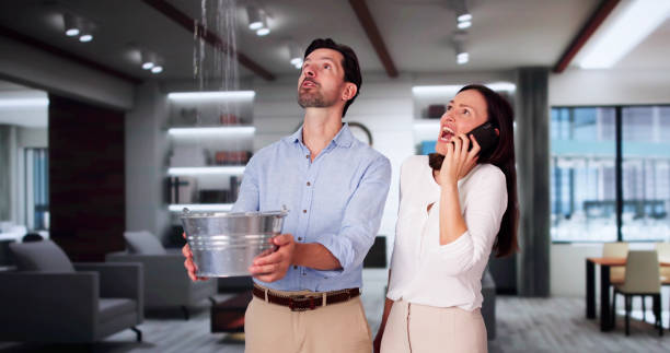 Best Water damage contractors near me  in Osceola, WI